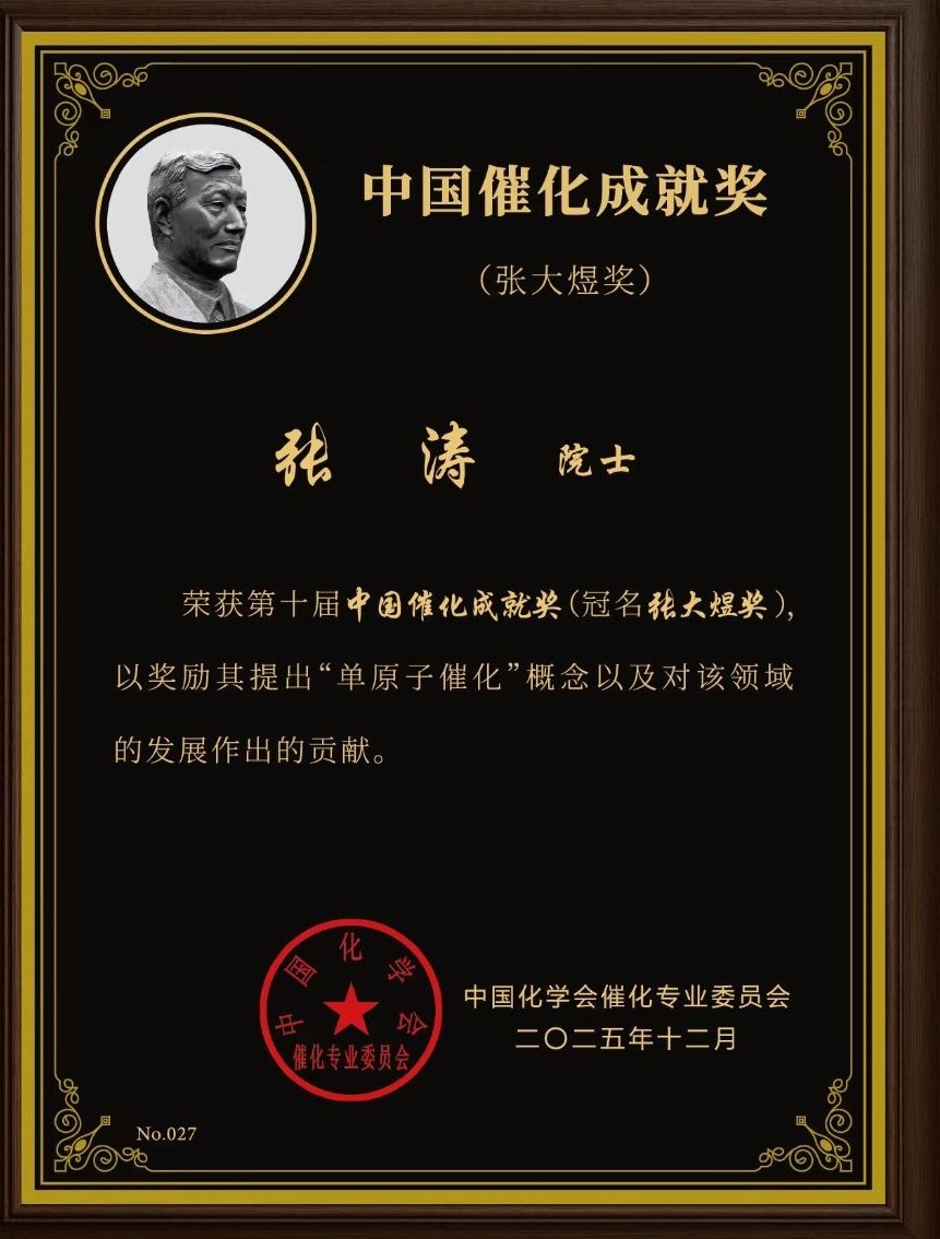 中国催化成就奖（张大煜奖）